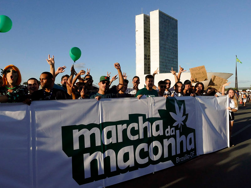 Marcha da Maconha: Mobilização Fundamental para o Progresso da Cannabis Medicinal